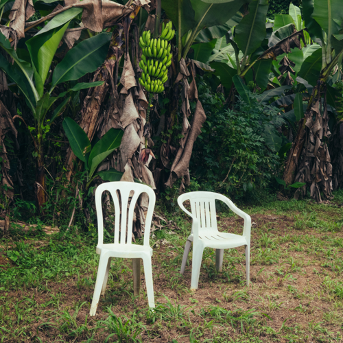 Bad Bunny - Debí Tirar Más Fotos (LP, Capa: M Disco: M)